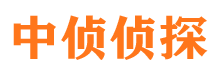 大冶市私家侦探